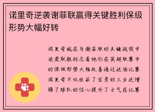 诺里奇逆袭谢菲联赢得关键胜利保级形势大幅好转